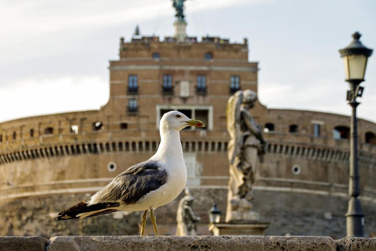 Roma Vatican Exteriör bild